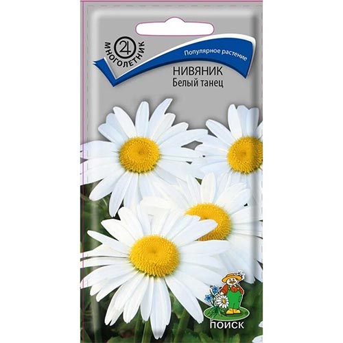Нивяник Белый танец, семена изображение 1 артикул 93073