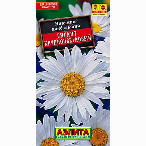 Нивяник крупноцветковый Гигант Аэлита изображение 1 артикул 99013