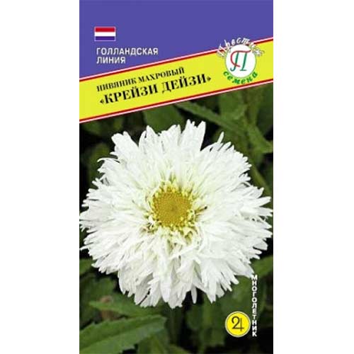 Нивяник Крейзи Дейзи артикул фото 1 Нивяник Крейзи Дейзи изображение 1 артикул 71489