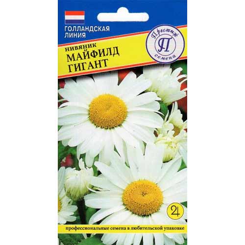 Нивяник Майфилд гигант  Престиж изображение 1 артикул 84509