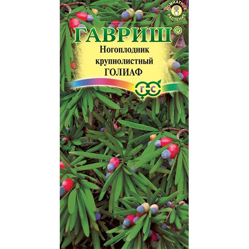 Ногоплодник Голиаф, семена изображение 1 артикул 94864