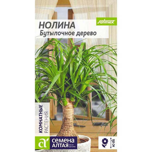 Нолина Бутылочное дерево, семена изображение 1 артикул 94198