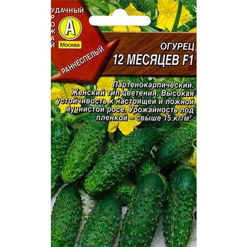 Огурец 12 месяцев F1 Аэлита изображение 1 артикул 98382