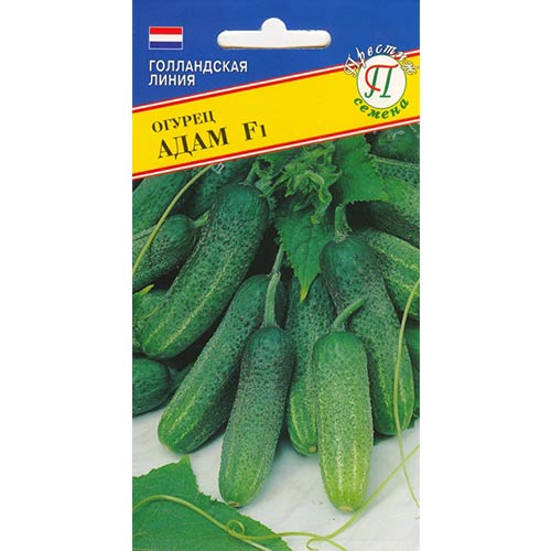 Огурец Адам F1 Престиж изображение 1 артикул 84229