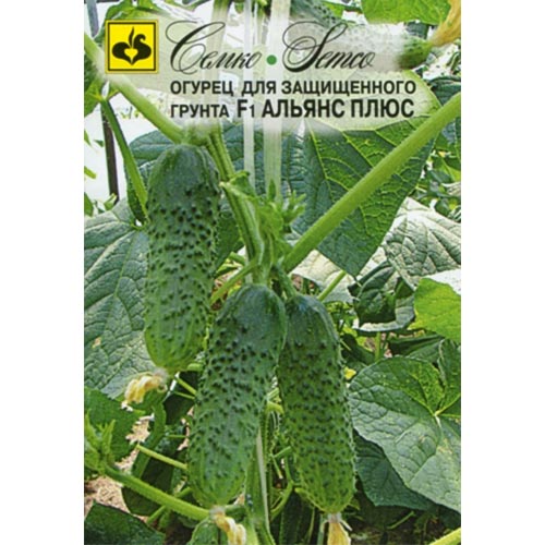 Огурец Альянс плюс F1, семена изображение 1 артикул 94258