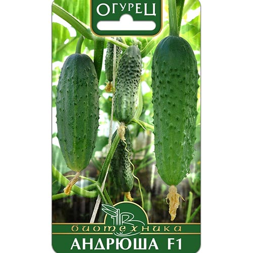 Огурец Андрюша F1 Биотехника изображение 1 артикул 91514