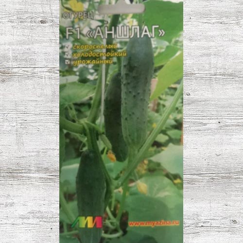 Огурец Аншлаг F1 изображение 1 артикул 83487