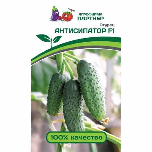 Огурец Антисипатор F1 Партнер изображение 1 артикул 81022