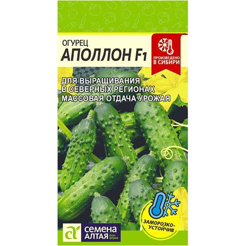 Огурец Аполлон F1 Семена Алтая изображение 1 артикул 81520
