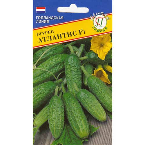 Огурец Атлантис F1 Престиж артикул фото 1 Огурец Атлантис F1 Престиж изображение 1 артикул 84232
