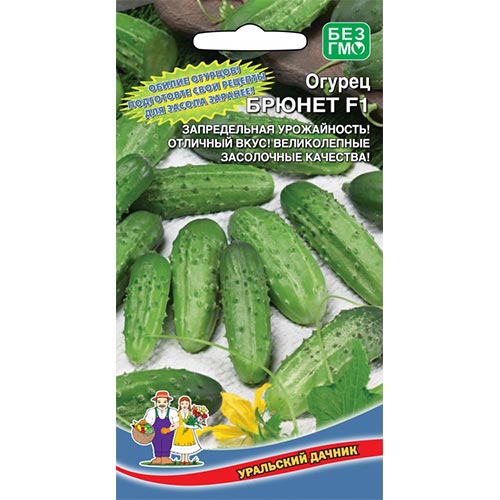 Огурец Брюнет F1, семена изображение 1 артикул 94594