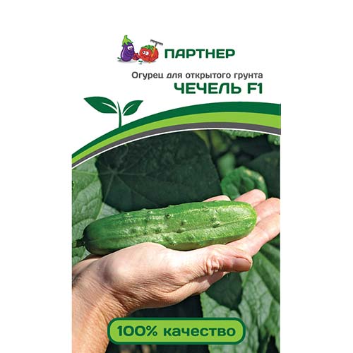 Огурец Чечель F1 Партнер изображение 1 артикул 81029
