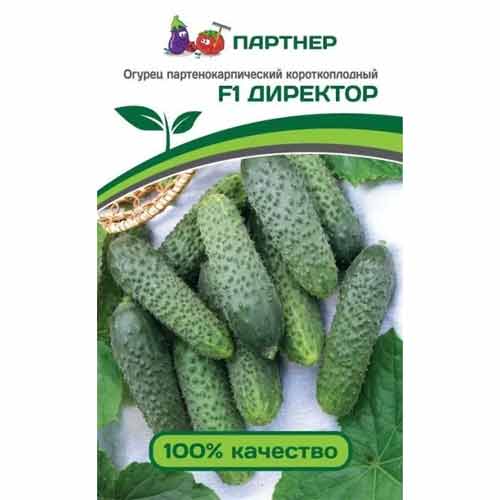 Огурец Директор F1 Партнер изображение 1 артикул 73452