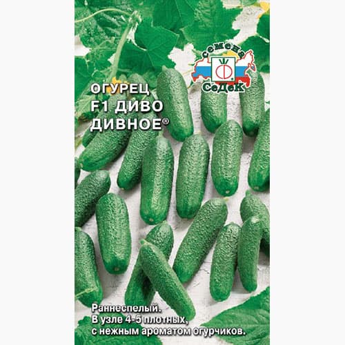 Огурец Диво дивное F1 Седек изображение 1 артикул 98034