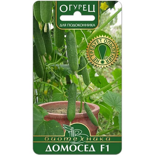 Огурец Домосед F1 Биотехника изображение 1 артикул 97296