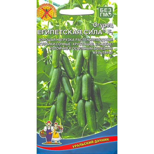 Огурец Египетская сила F1, семена изображение 1 артикул 94603