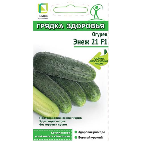 Огурец Энеж 21 F1 Поиск изображение 1 артикул 84103