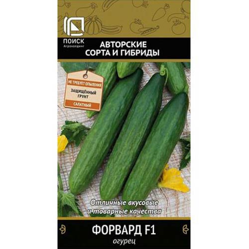 Огурец Форвард F1 Поиск изображение 1 артикул 81972
