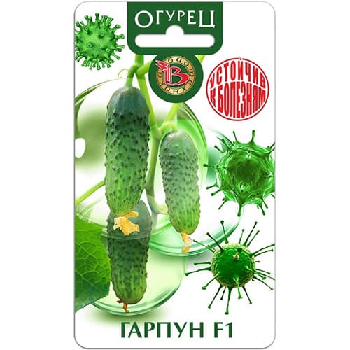 Огурец Гарпун F1 Биотехника артикул фото 1 Огурец Гарпун F1 Биотехника изображение 1 артикул 97295