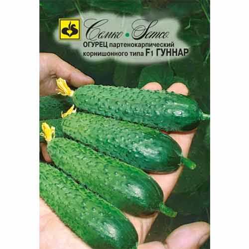Огурец Гуннар F1 Семко изображение 1 артикул 82600