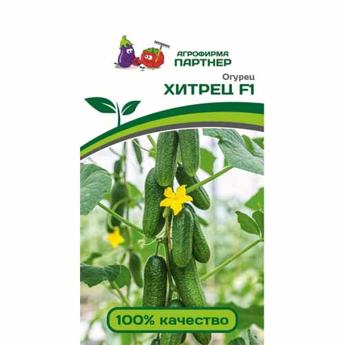 Огурец Хитрец F1 Партнер изображение 1 артикул 88074