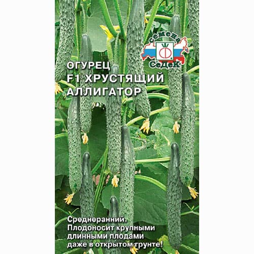 Огурец Хрустящий аллигатор F1 Седек изображение 1 артикул 65136