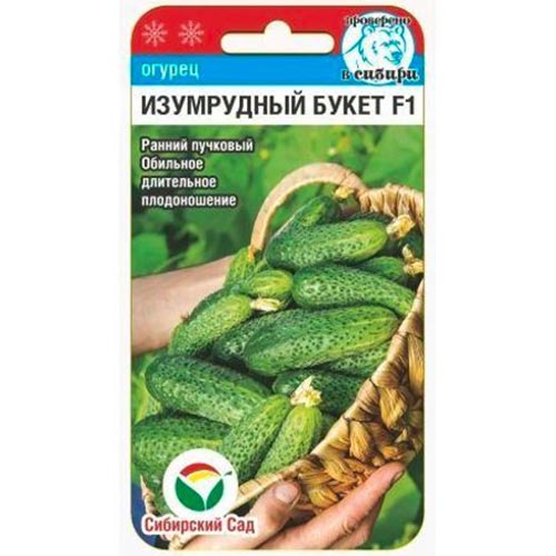 Огурец Изумрудный букет F1, семена изображение 1 артикул 94367