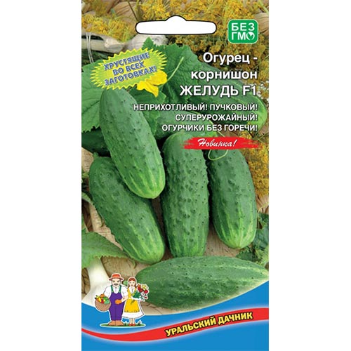 Огурец Желудь F1, семена изображение 1 артикул 94604