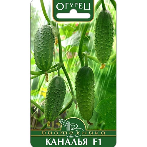 Огурец Каналья F1, семена изображение 1 артикул 91522