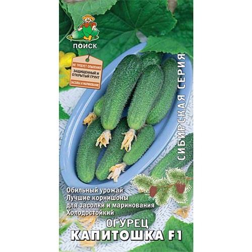 Огурец Капитошка F1 Поиск изображение 1 артикул 81952