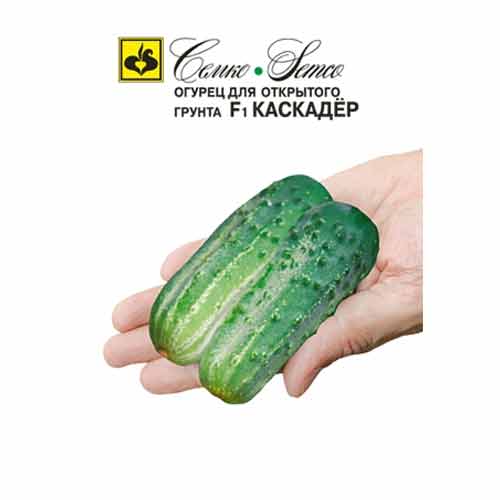 Огурец Каскадер F1 Семко изображение 1 артикул 82611