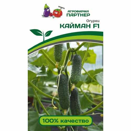 Огурец Кайман F1 Партнер изображение 1 артикул 97271