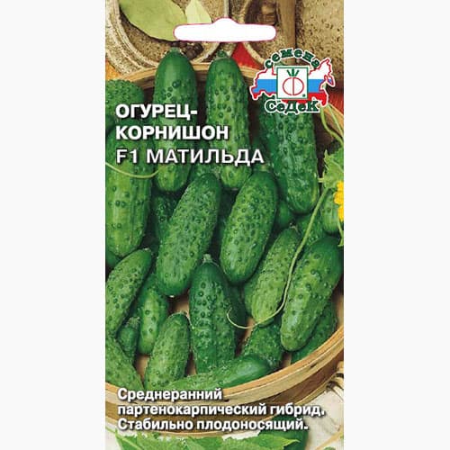 Огурец корнишон Матильда F1 Седек изображение 1 артикул 98036
