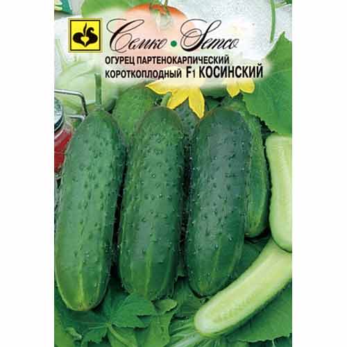 Огурец Косинский F1 Семко изображение 1 артикул 82609