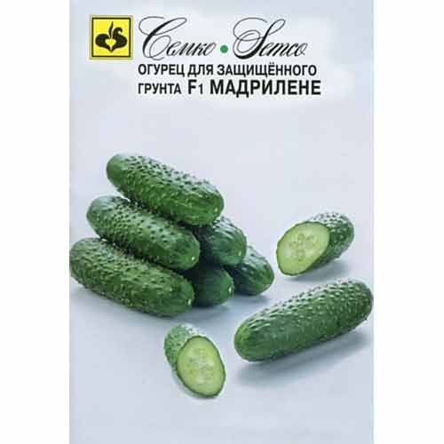 Огурец Мадрилене F1 Семко артикул фото 1 Огурец Мадрилене F1 Семко изображение 1 артикул 82597