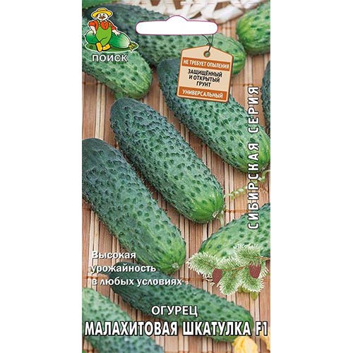 Огурец Малахитовая шкатулка F1 Поиск изображение 1 артикул 81959