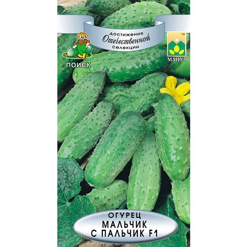 Огурец Мальчик с пальчик F1 Поиск изображение 1 артикул 81961