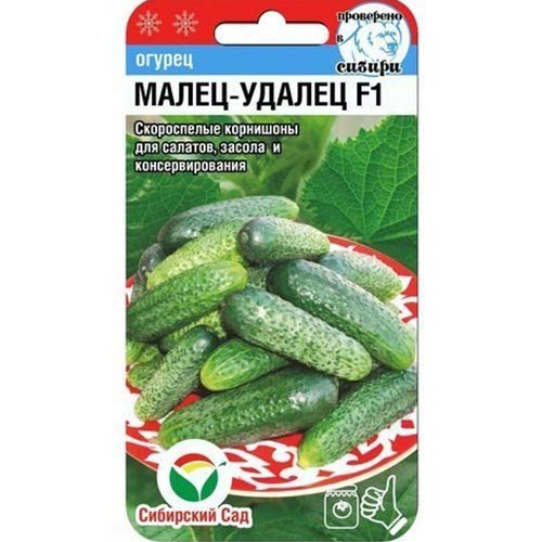 Огурец Малец-удалец F1 Сибирский сад изображение 1 артикул 82812