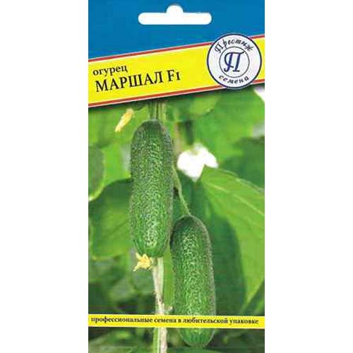 Огурец Маршал F1 Престиж артикул фото 1 Огурец Маршал F1 Престиж изображение 1 артикул 97934