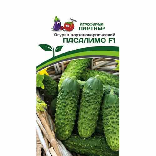 Огурец Пасалимо F1 Партнер изображение 1 артикул 40723