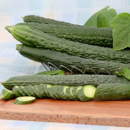 Огурец Пекинский вкусный F1 изображение 1 артикул 65134