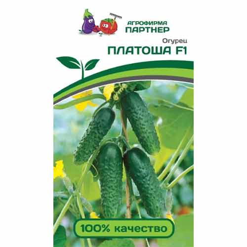 Огурец Платоша F1 Партнер артикул фото 1 Огурец Платоша F1 Партнер изображение 1 артикул 83113