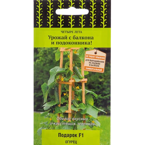 Огурец Подарок F1 Поиск изображение 1 артикул 74914