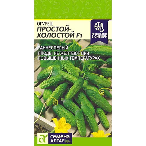Огурец Простой холостой F1 Семена Алтая изображение 1 артикул 84725