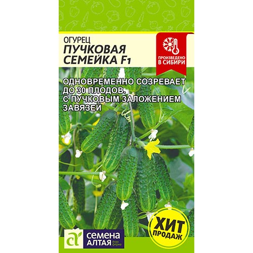Огурец Пучковая семейка F1 Семена Алтая изображение 1 артикул 81530