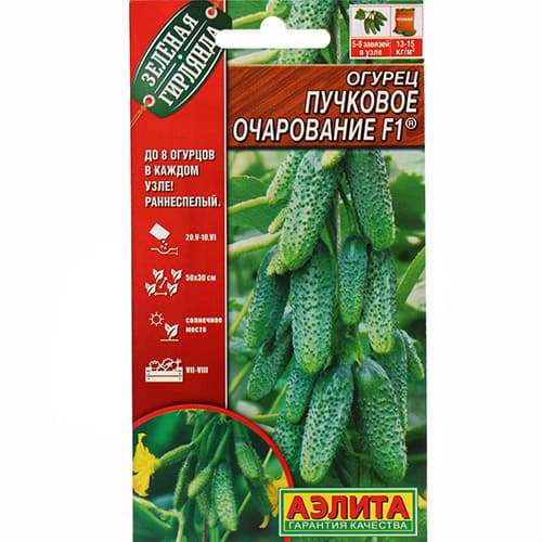 Огурец Пучковое очарование F1 Аэлита изображение 1 артикул 98426