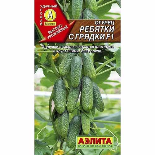 Огурец Ребятки с грядки F1 Аэлита артикул фото 1 Огурец Ребятки с грядки F1 Аэлита изображение 1 артикул 40139