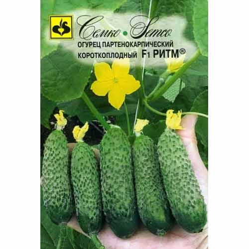 Огурец Ритм F1 Семко изображение 1 артикул 71926