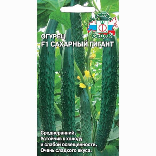 Огурец Сахарный гигант F1 Седек изображение 1 артикул 65135