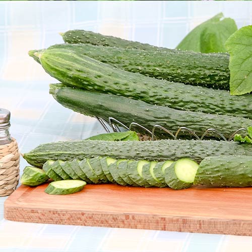 Огурец Сахарный гигант F1 изображение 1 артикул 74201